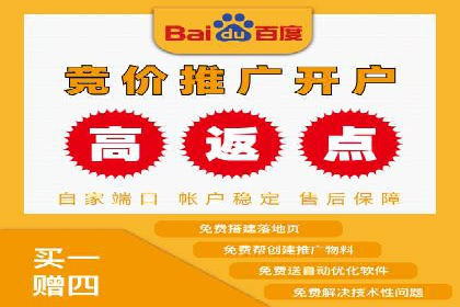 百度广告投放技巧与案例分享